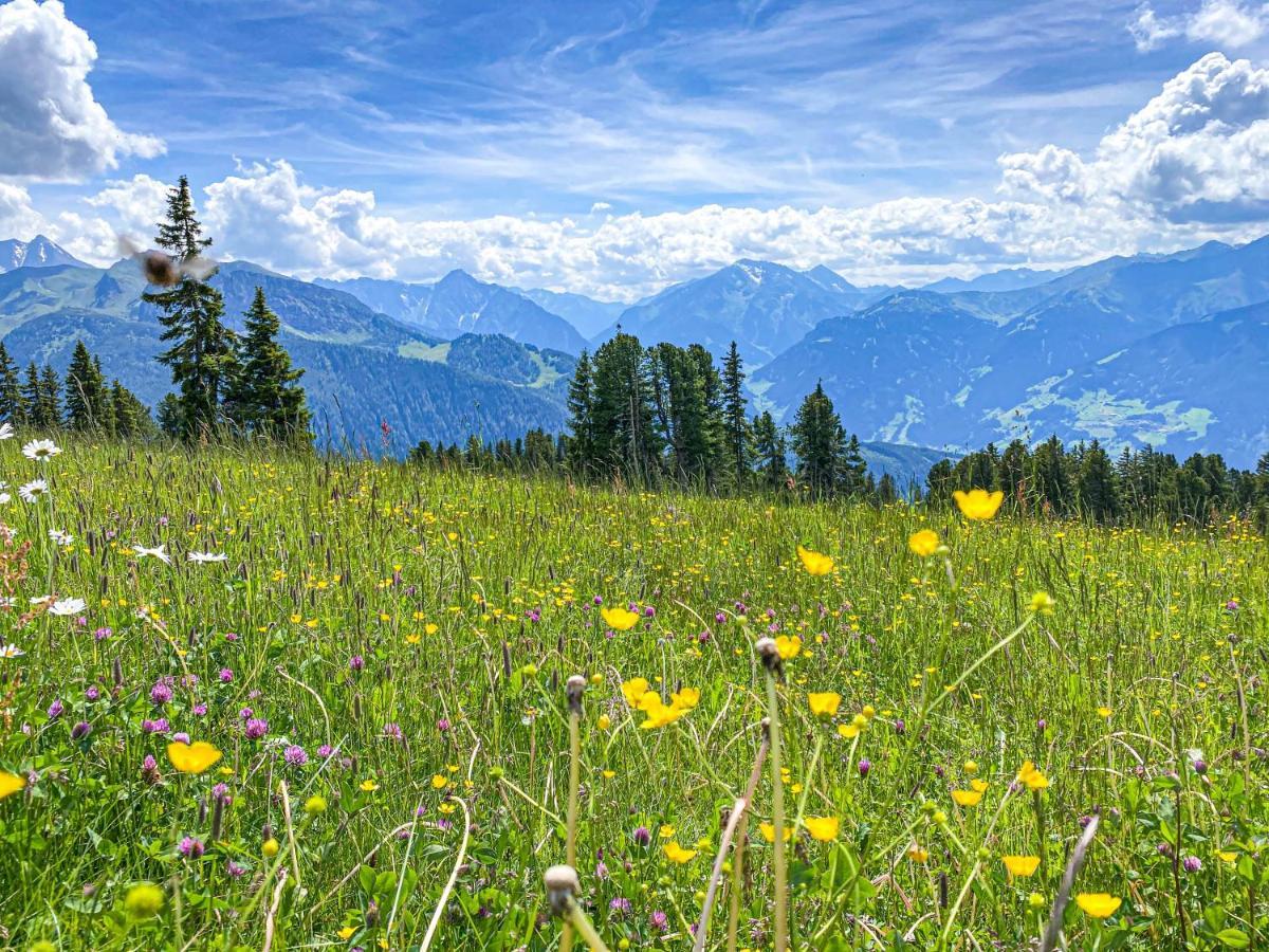 Appartement Anna Zell am Ziller Dış mekan fotoğraf